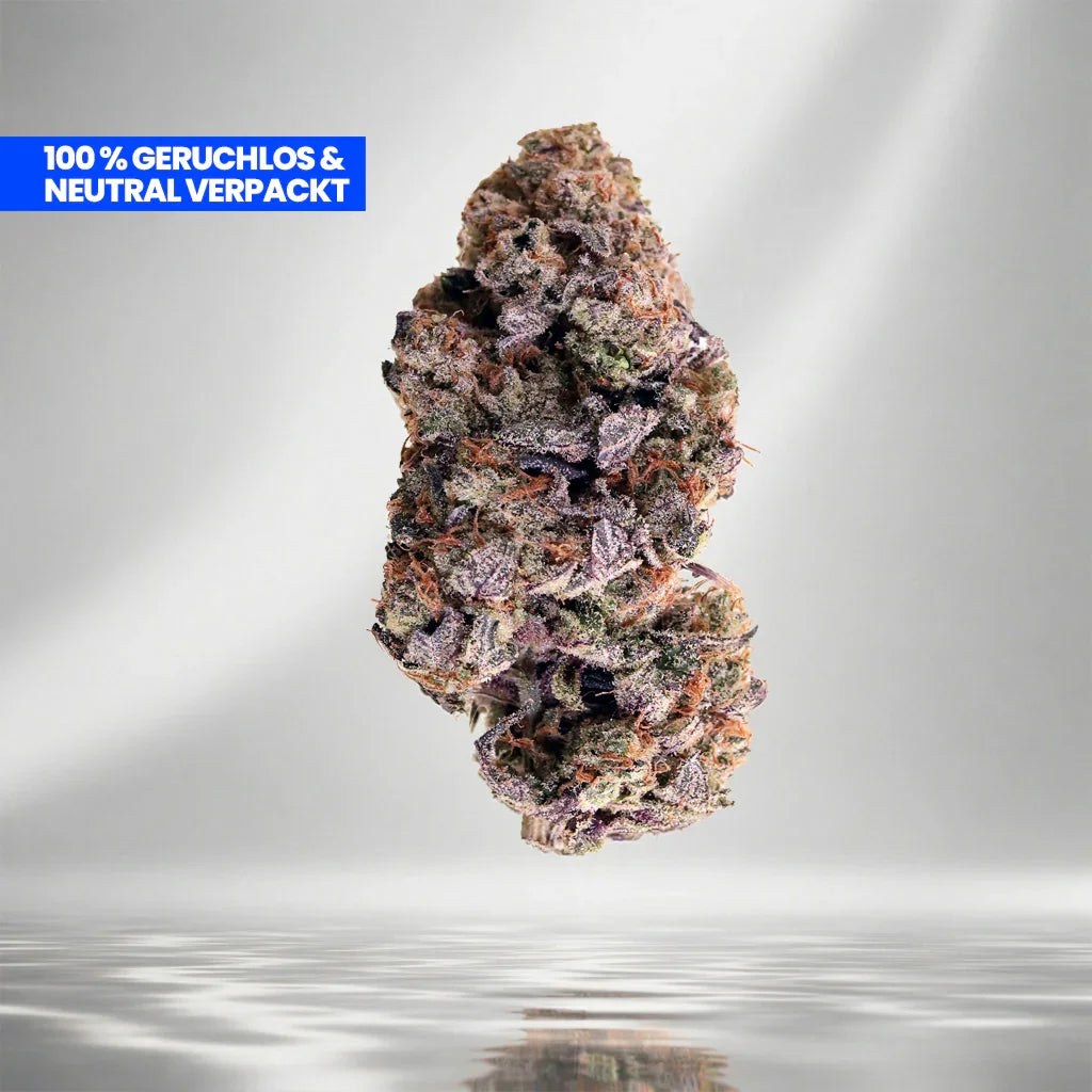 Wedding Cake 9H-HHC Cali Blüte aus Kalifornien bei Happy Flower kaufen.