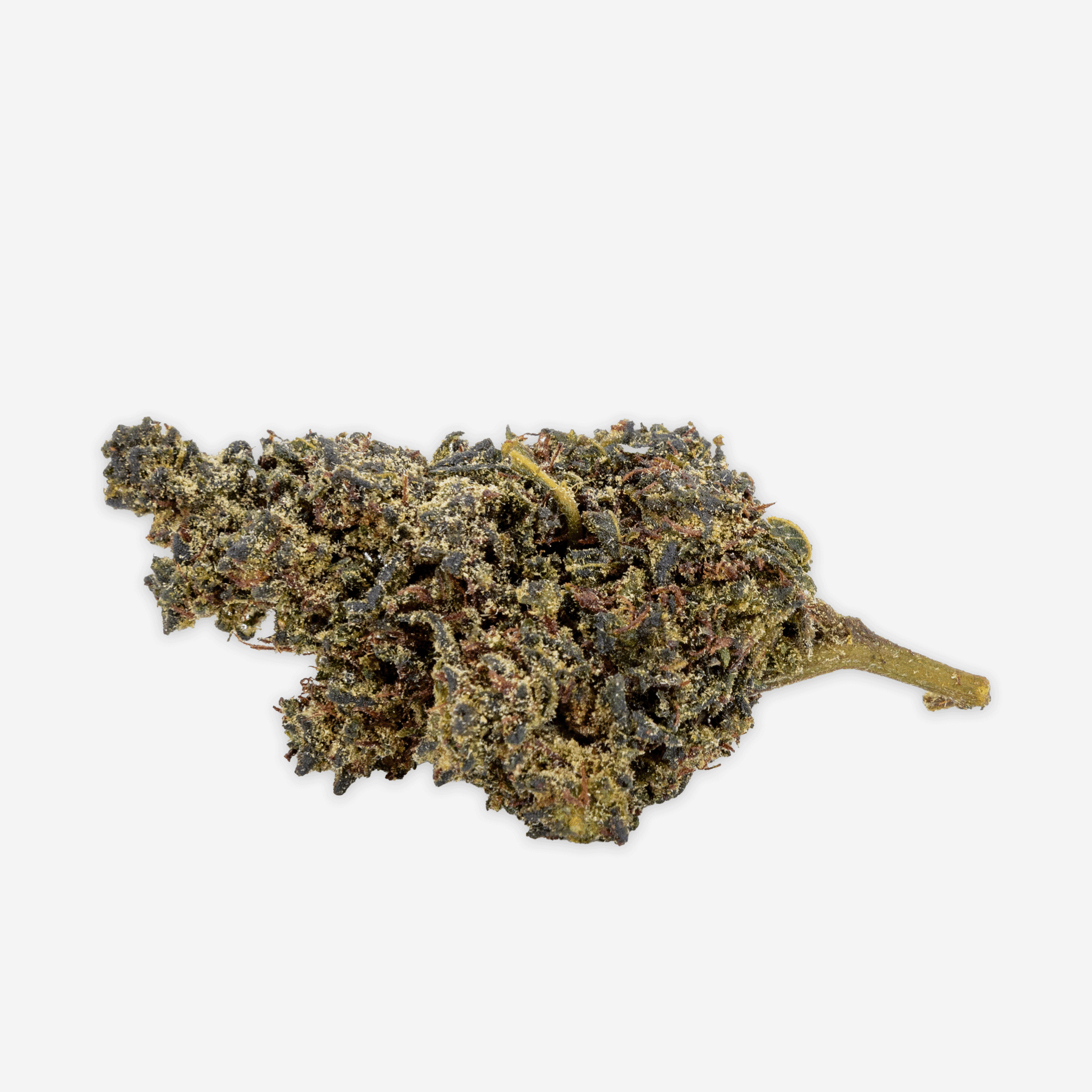 Holy Trinity Starter Kit 15g