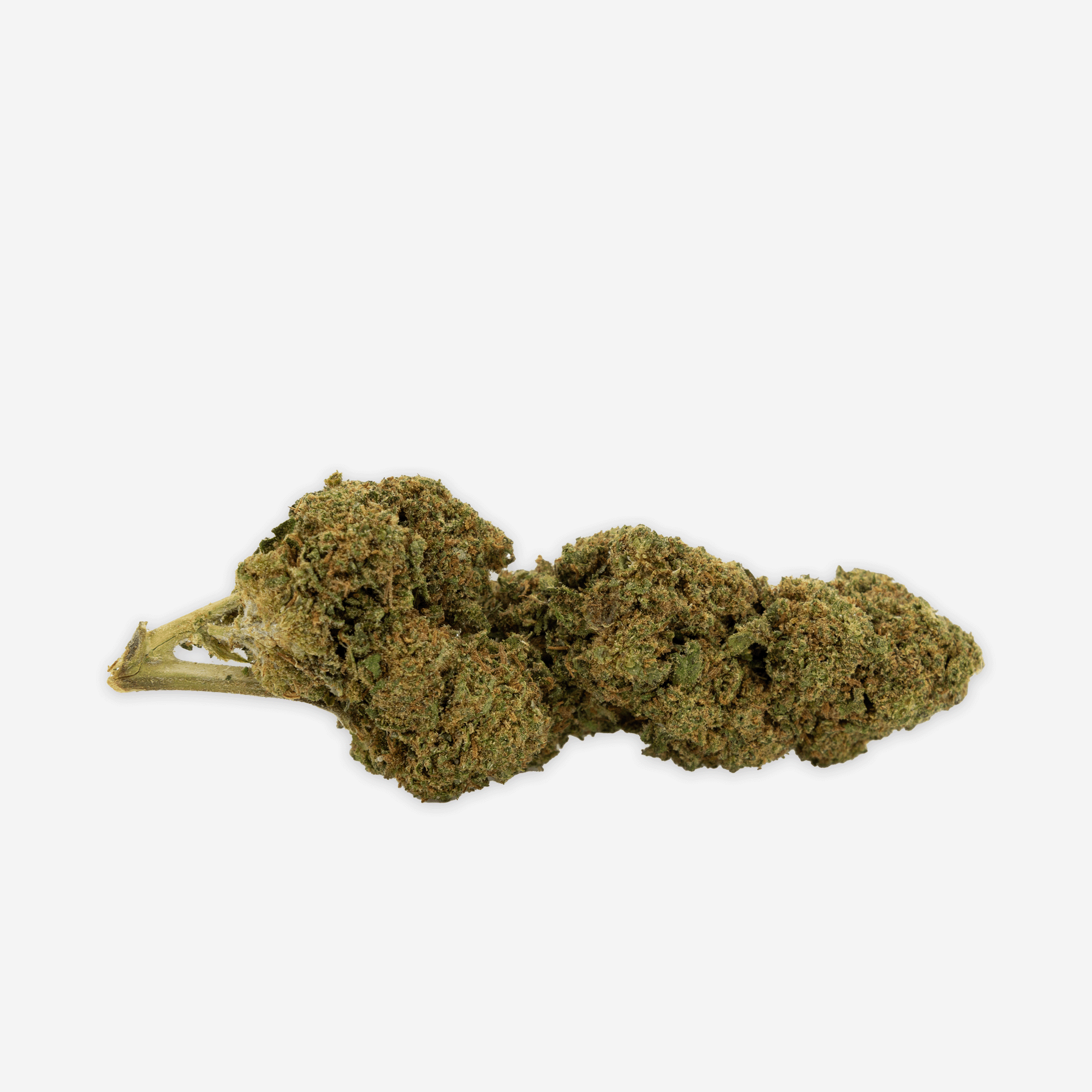 Blueten