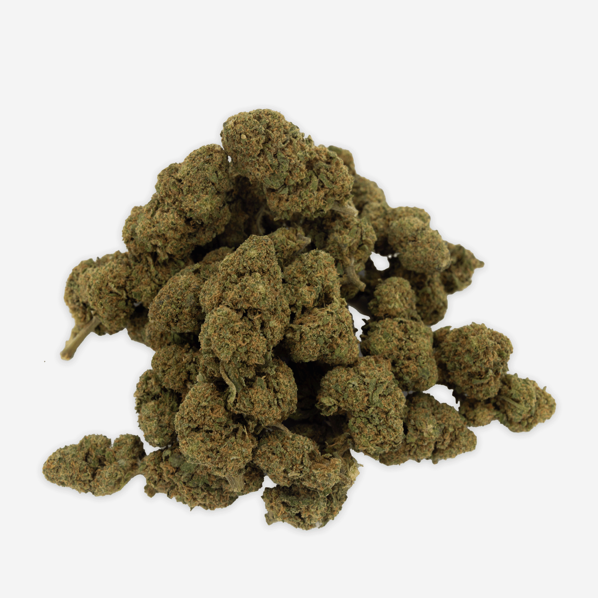 Blueten