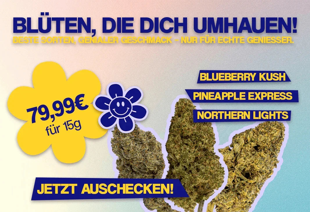 Cannabis Legends Blütenbundle – 15g für nur 5€/g! – Premium Cannabis Bundle bei Happyflower
