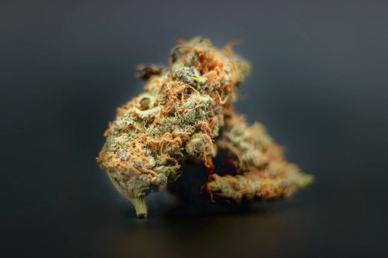 Top 5 Hybrid-Sorten 2025 – Vergleich der besten Cannabis Hybrids mit Effekten, Aromen und Tipps zur Auswahl