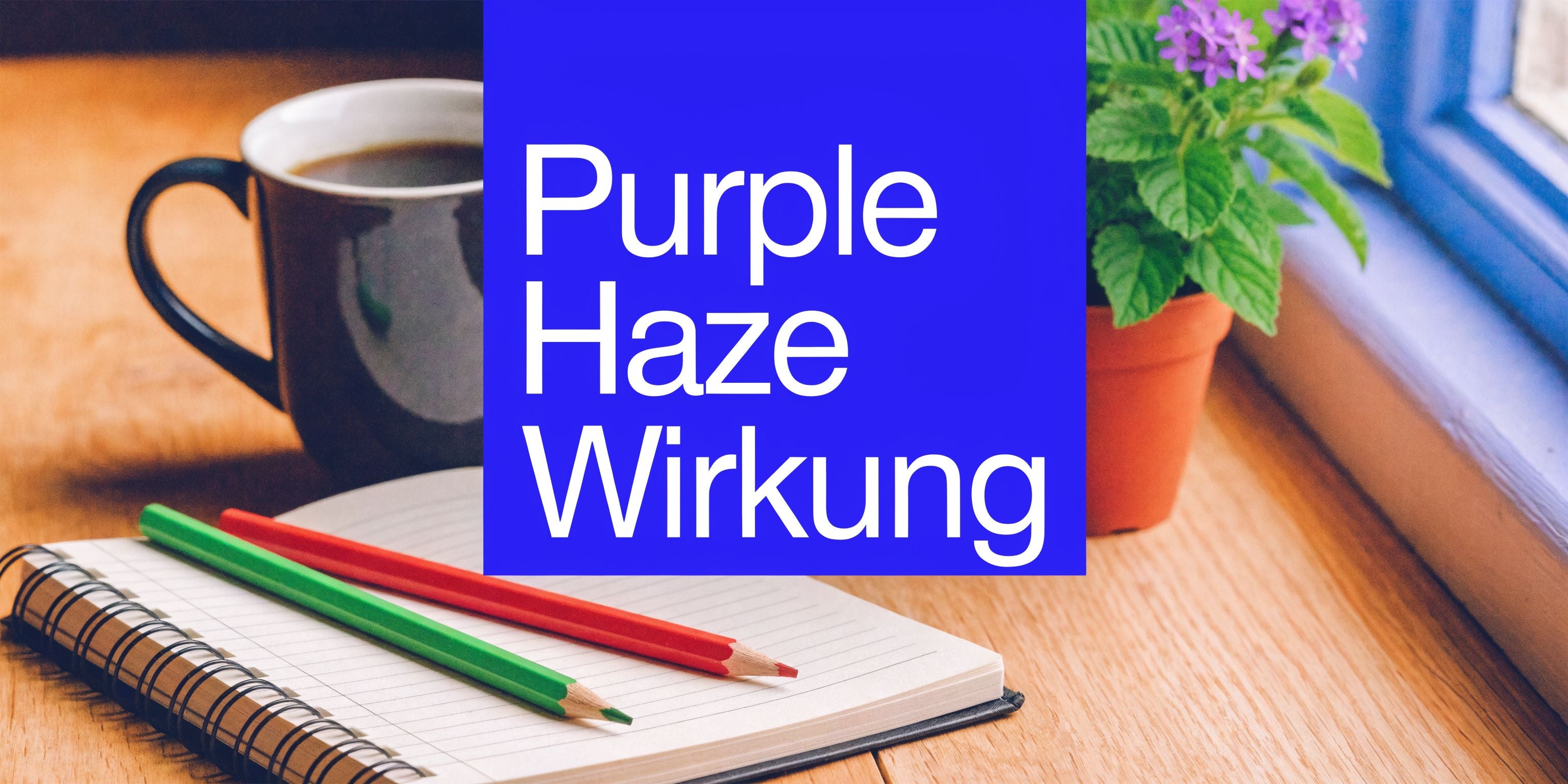 Purple Haze Wirkung: Dein kompletter Guide für 2026