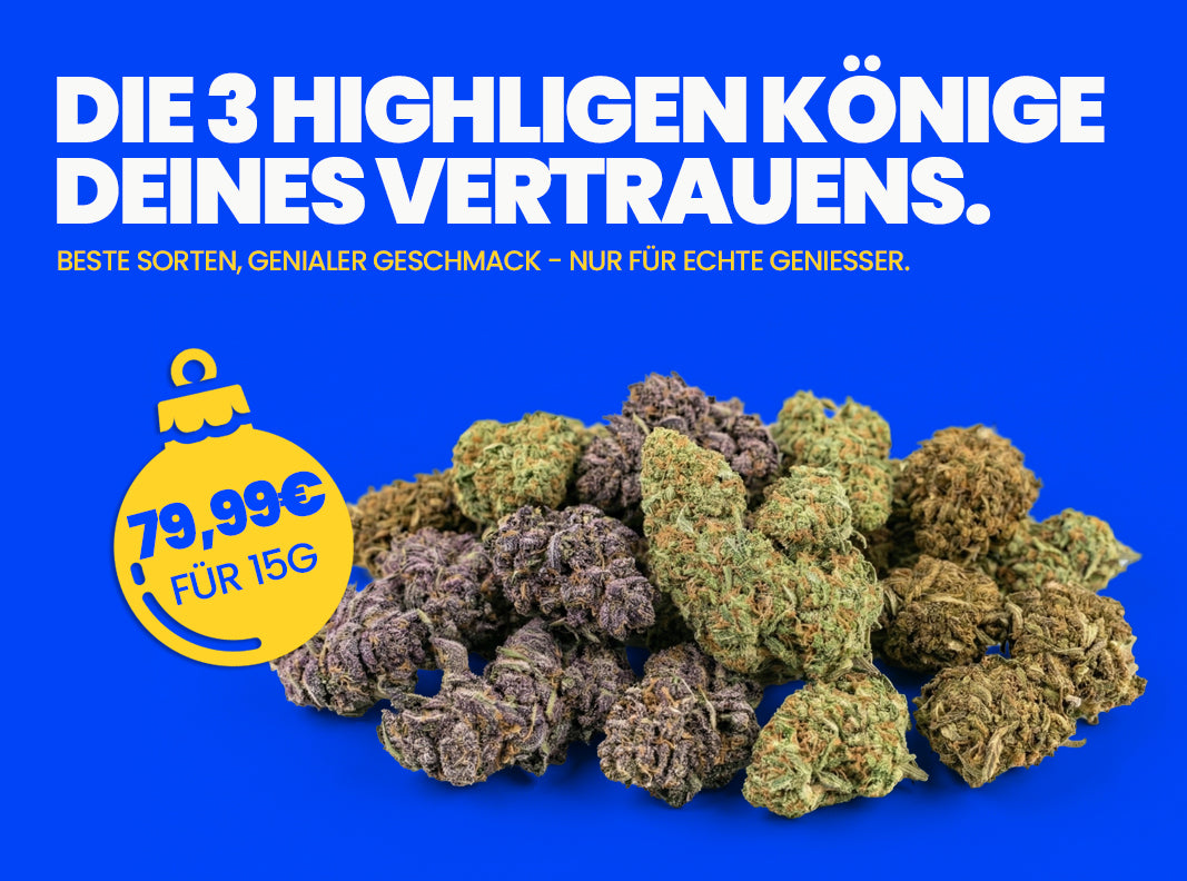 3 HIGH-ligen Könige 15g Bundle