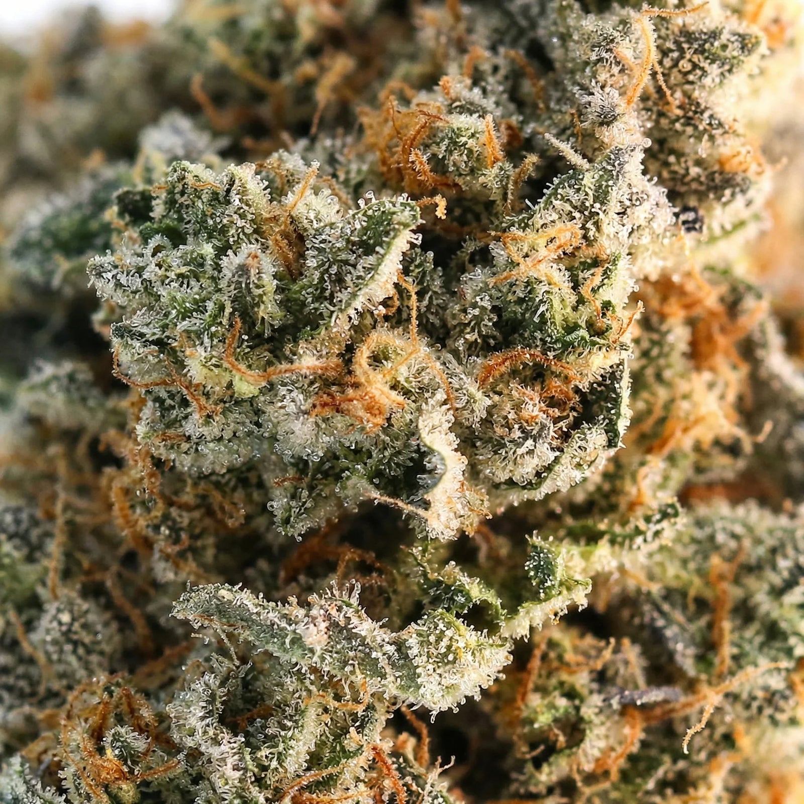Amnesia Runtz 9H-HHC Cali Blueten bei Happy Flower kaufen.