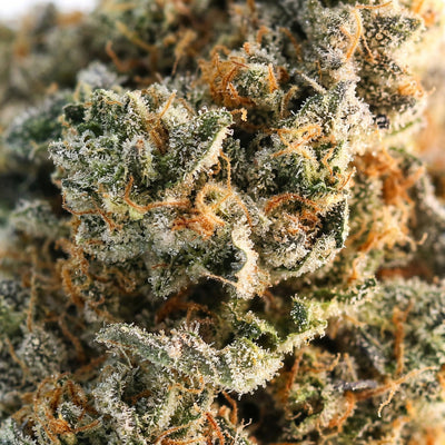 Amnesia Runtz 9H-HHC Cali Blueten bei Happy Flower kaufen.