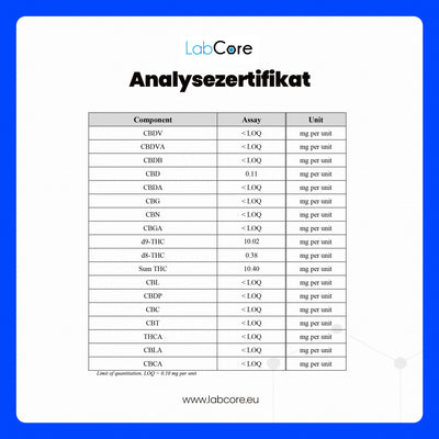THC Gummibärchen Apple – Nahaufnahme Qualität