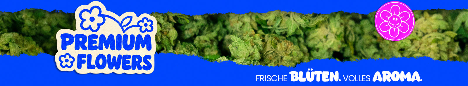 Blaues Banner mit einer Reihe grüner Cannabisblüten. Links steht „Premium Blüten“, rechts ist ein pinkes Blumenlogo und unten der Schriftzug „Frische Blüten. Volles Aroma.“