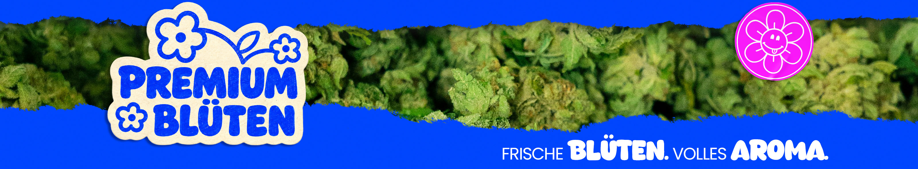 Blaues Banner mit einer Reihe grüner Cannabisblüten. Links steht „Premium Blüten“, rechts ist ein pinkes Blumenlogo und unten der Schriftzug „Frische Blüten. Volles Aroma.“