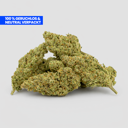 Amnesia CBG-9 Blüten