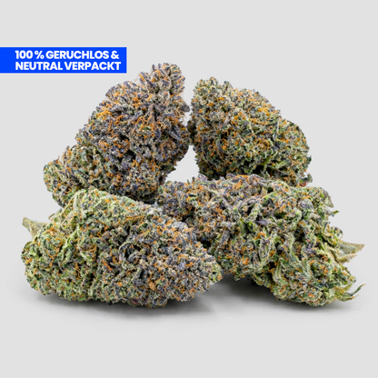 Blueberry Kush 9H-HHC Blüten