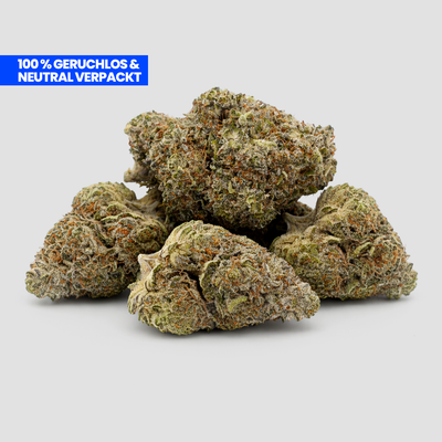 Cali Inferno PHC Blüten