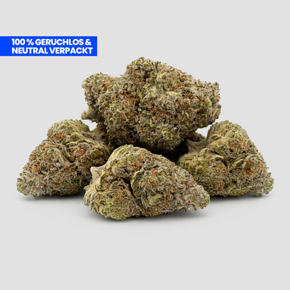 Cali Inferno PHC Blüten