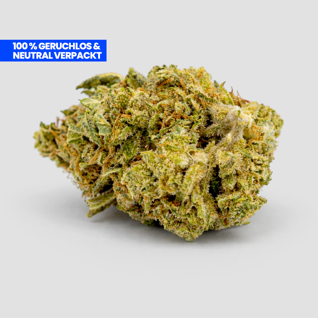 Cheese Skunk CBD 25 % Blüte