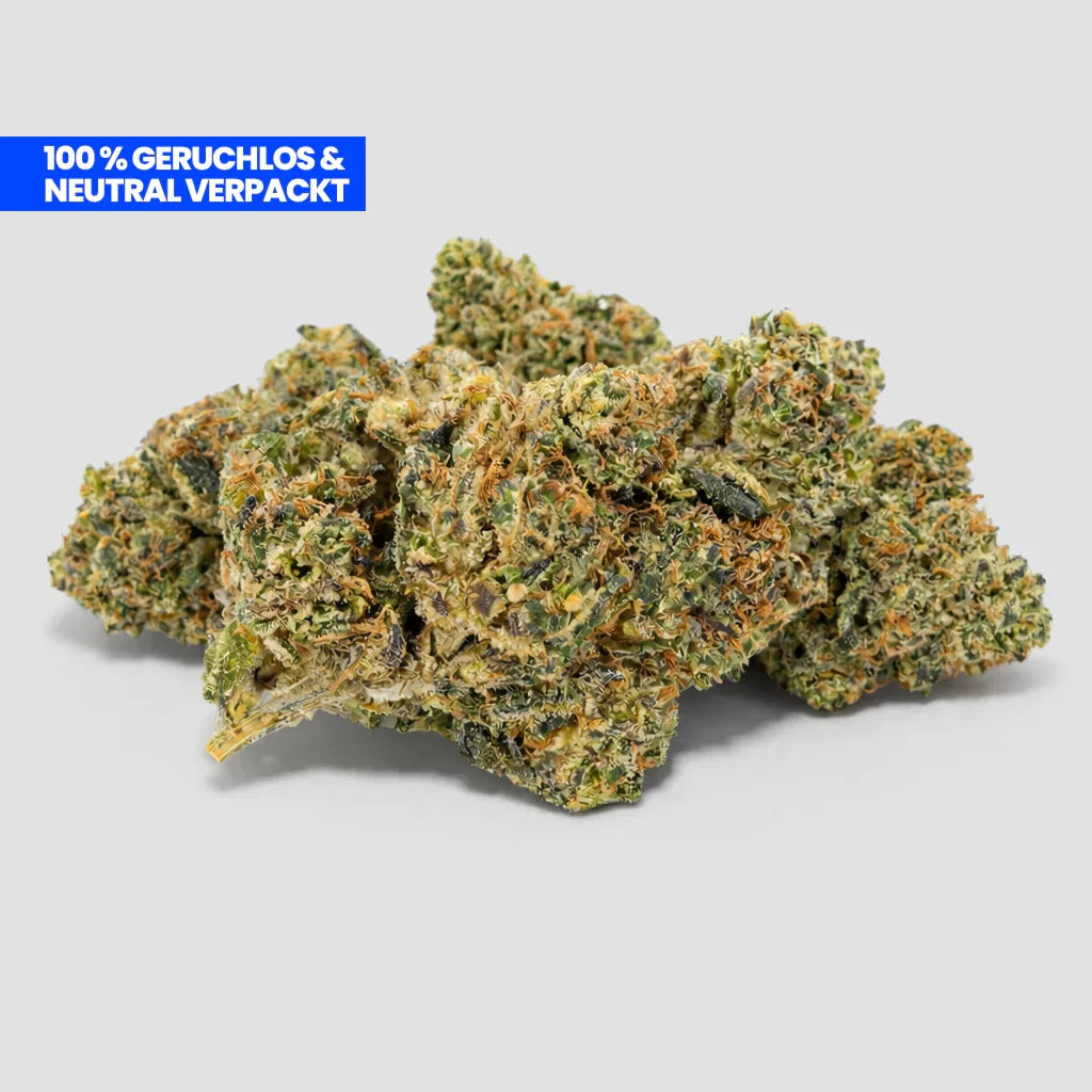 Critical CBD 25 % Blüten