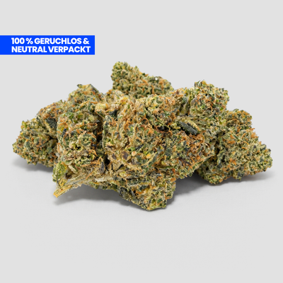 Critical CBD 25 % Blüten