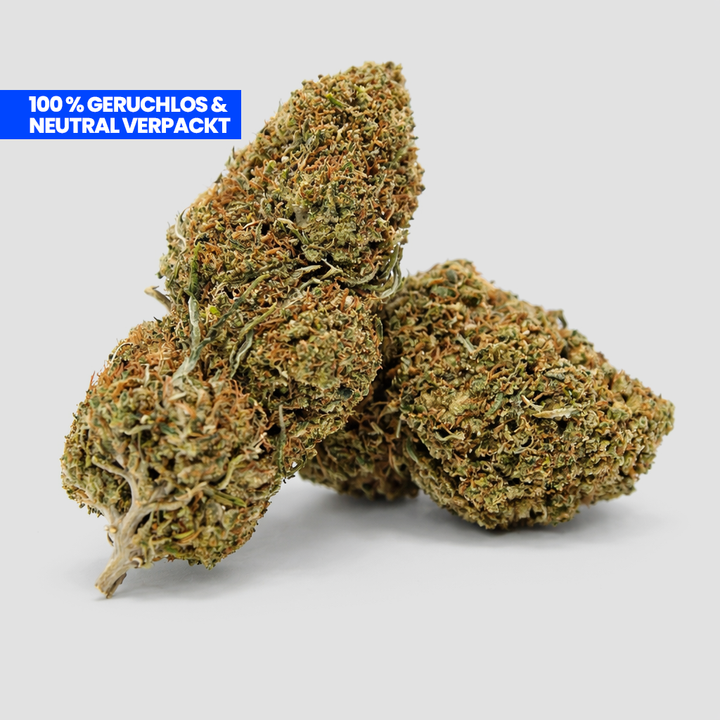 Fruit Cake CBD 25 % Blüten