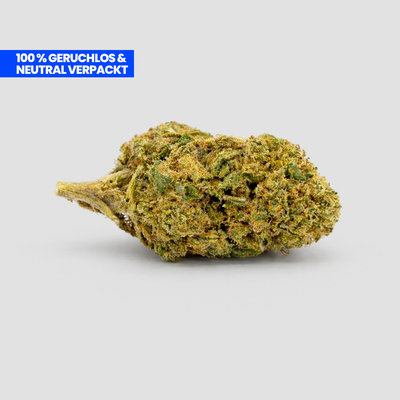 Gelato CBD 35% Blüte