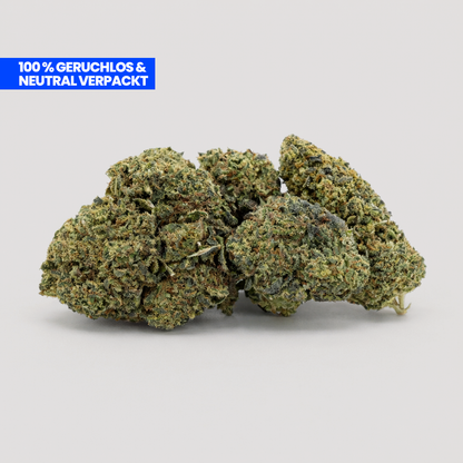 Lemon Haze PHC Blüten