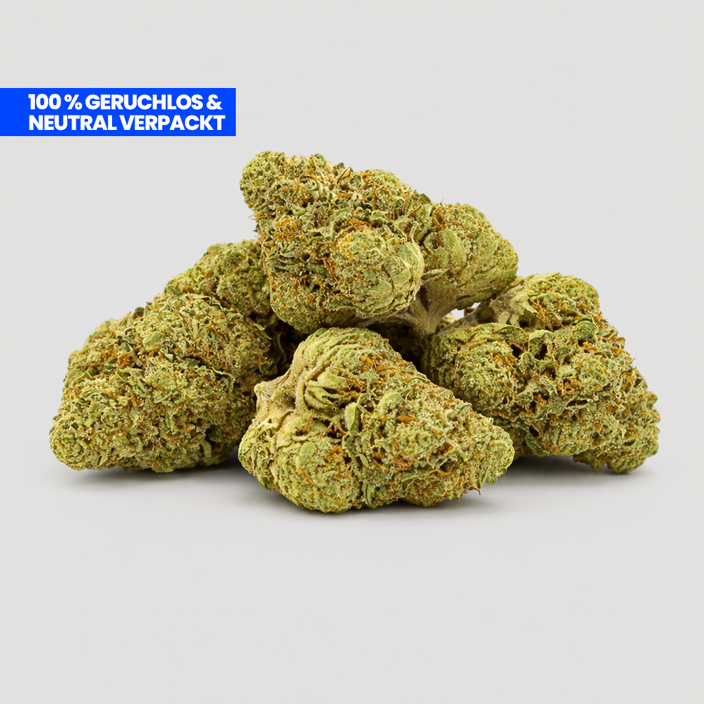 Lemon Pop PHC Blüten