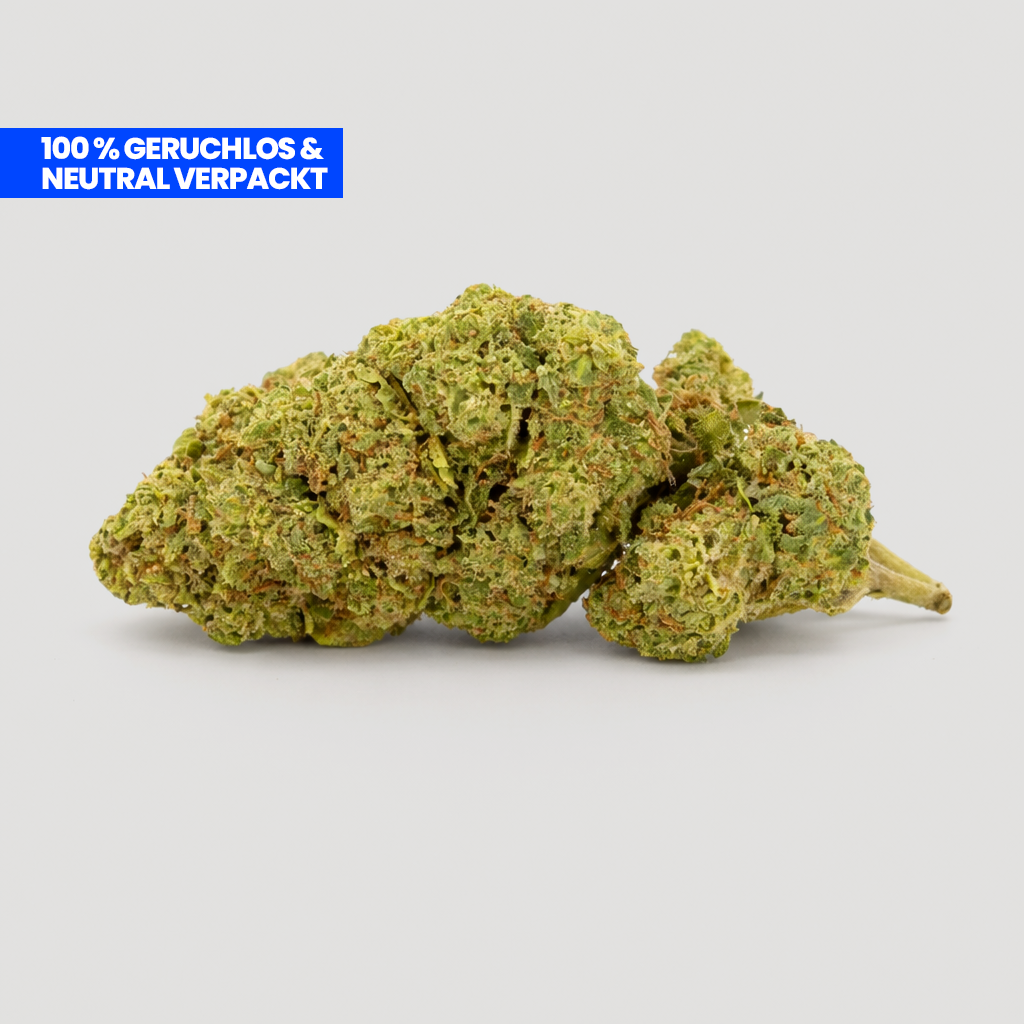 Lemon Pop PHC Blüte