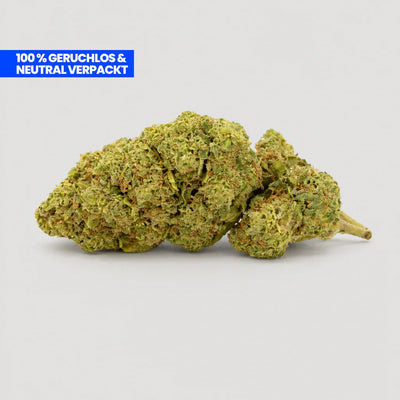 Lemon Pop PHC Flower