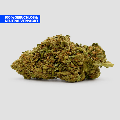 Mango Kush 9H-HHC Blüte