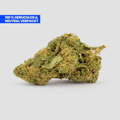 Mimosa CBD 35% Blüte