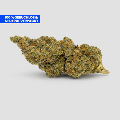 Nothern-Lights-9H-HHC Blüte