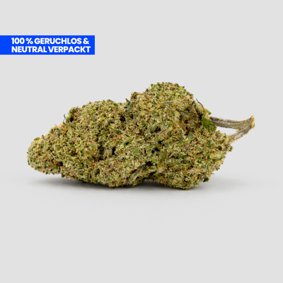 Pineapple Express 9H-HHC Blüte