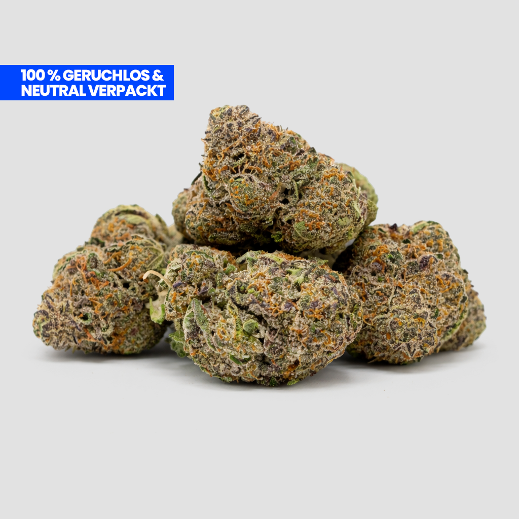 Purple-Candy-Kush-9H-HHC Blüten