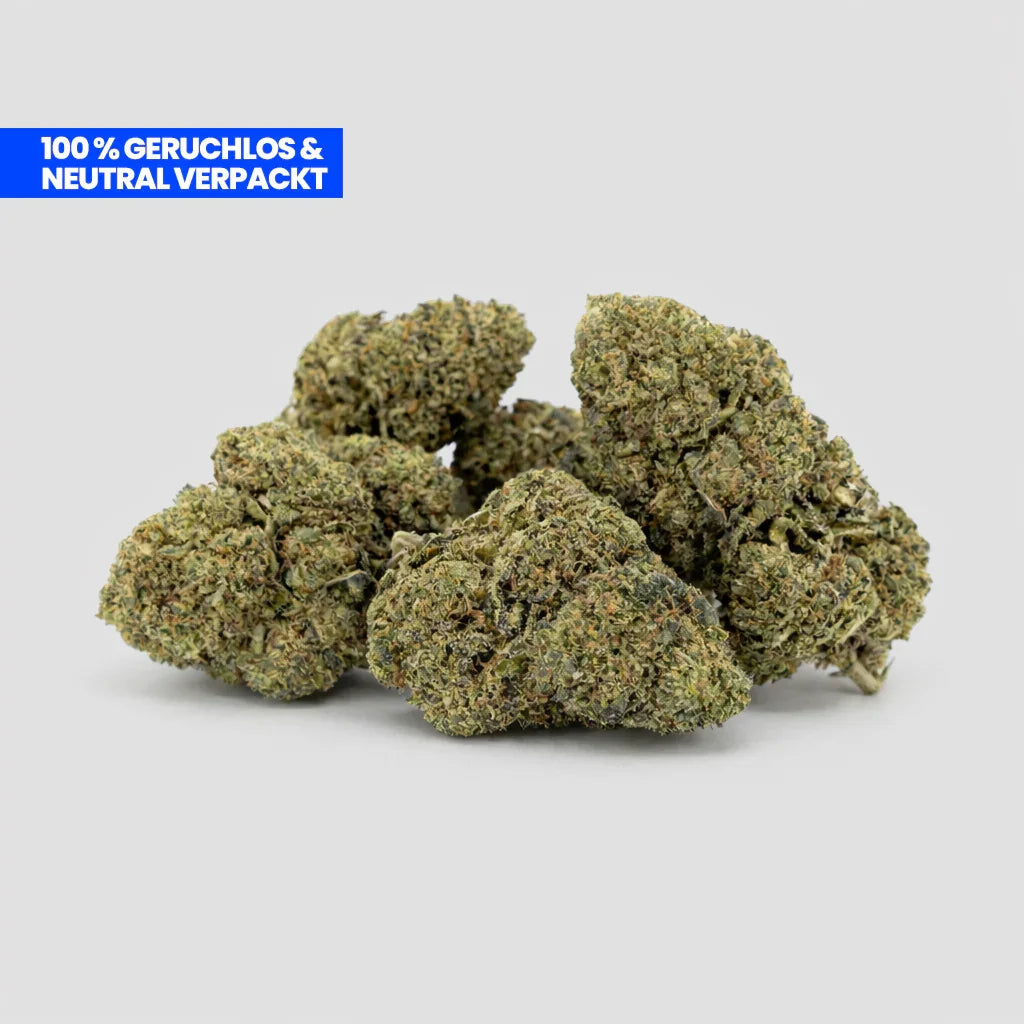 Purple Haze 9H-HHC Flowers