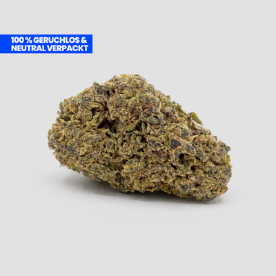 Purple Haze 9H-HHC Blüte