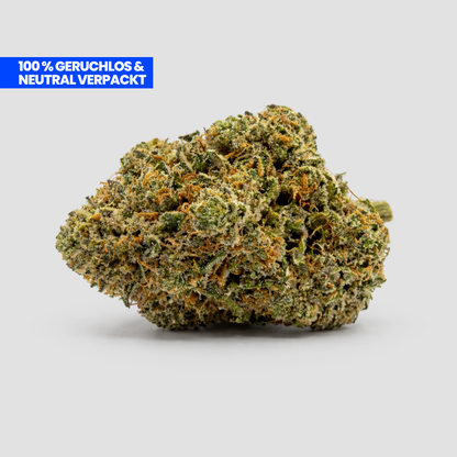 Super Silver Haze Popcorn Blüte