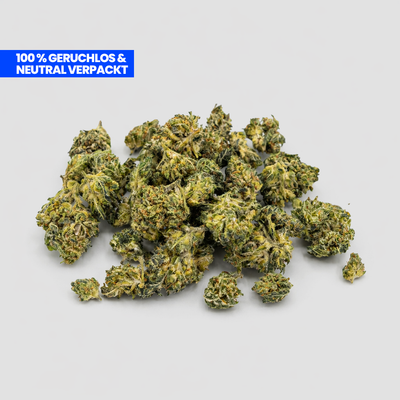 Super Silver Haze Popcorn Blüten