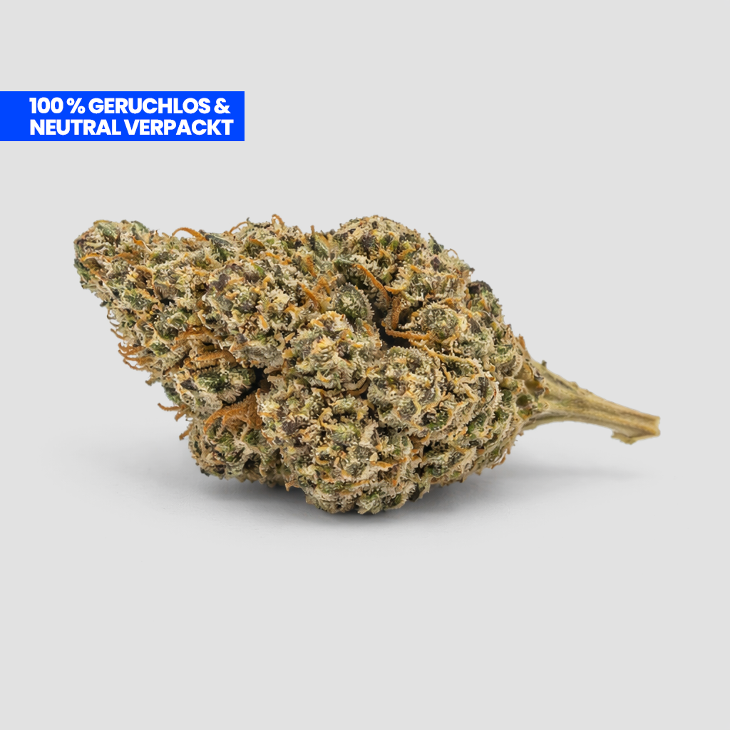 White Widow CBD 25 % Blüte