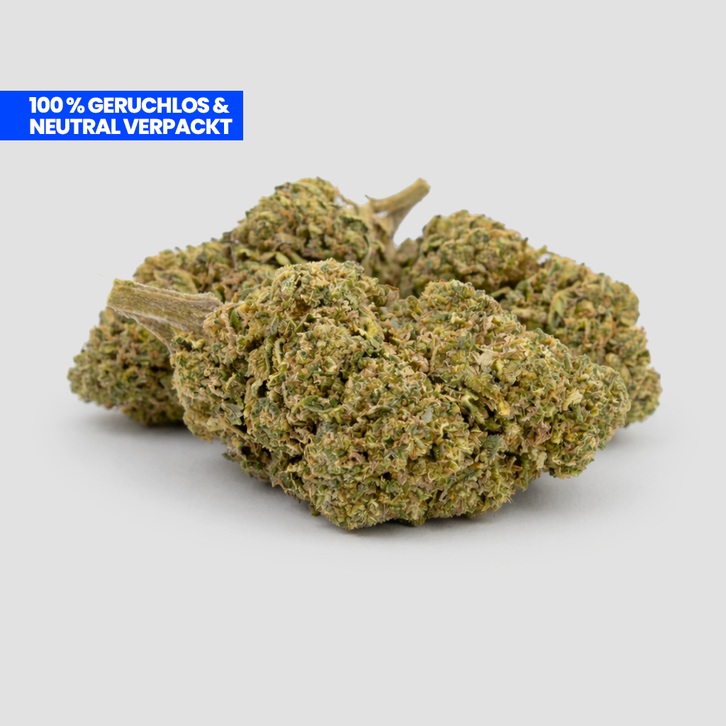 White Widow Ultra CBD 35% Blüten