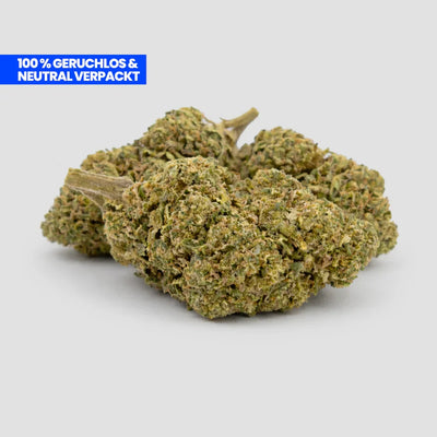 White Widow Ultra CBD 35 % - Flores