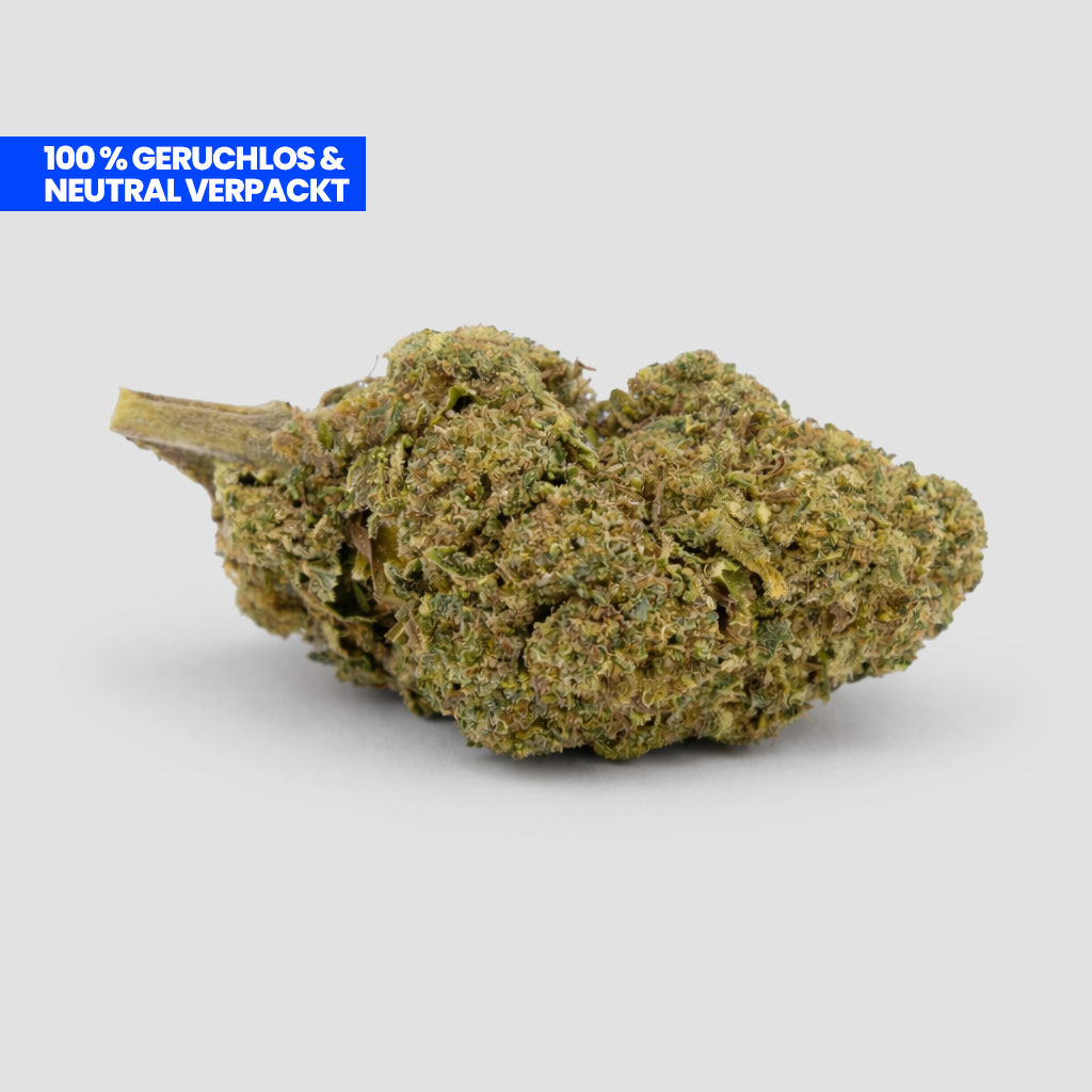 White Widow Ultra CBD 35% Blüte