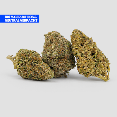 Drei Cannabis Blüten 