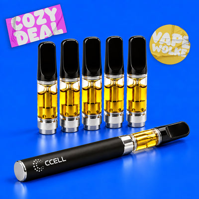 Fünf goldgelb gefüllte CCELL Vape-Kartuschen mit schwarzen Mundstücken stehen auf leuchtend blauem Hintergrund. Davor liegt ein schwarzer Vape-Pen mit weißem CCELL-Logo. Natürliche Reflexionen und dezente Schatten.