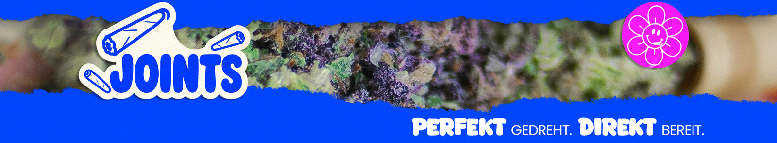 Blaues Banner mit einer Nahaufnahme einer violett-grünen Cannabisblüte. Links steht „Joints“, rechts ist ein pinkes Blumenlogo und unten der Schriftzug „Perfekt gedreht. Direkt bereit.“