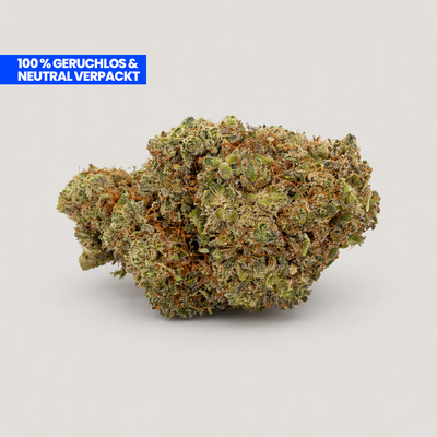 Holy Trinity Starter Kit 15g – Bundle Inhalt Übersicht