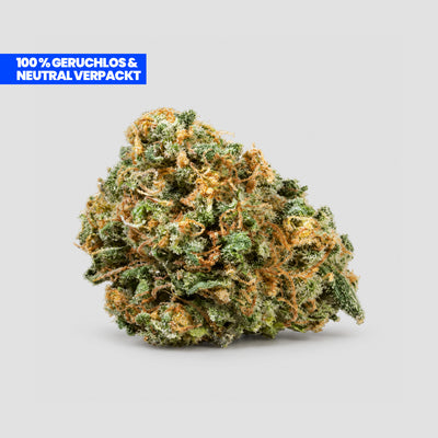Popcorn Kush Blüte mit grünen Blättern und orangefarbenen Härchen auf weißem Hintergrund, mit Hinweis „100% geruchlos & neutral verpackt“.