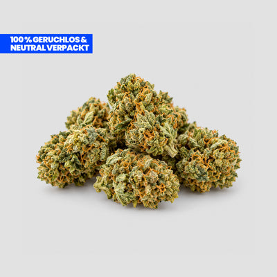 Mehrere grüne Popcorn Kush Cannabisblüten mit orangefarbenen Härchen auf weißem Hintergrund, mit Hinweis „100% geruchlos & neutral verpackt“.