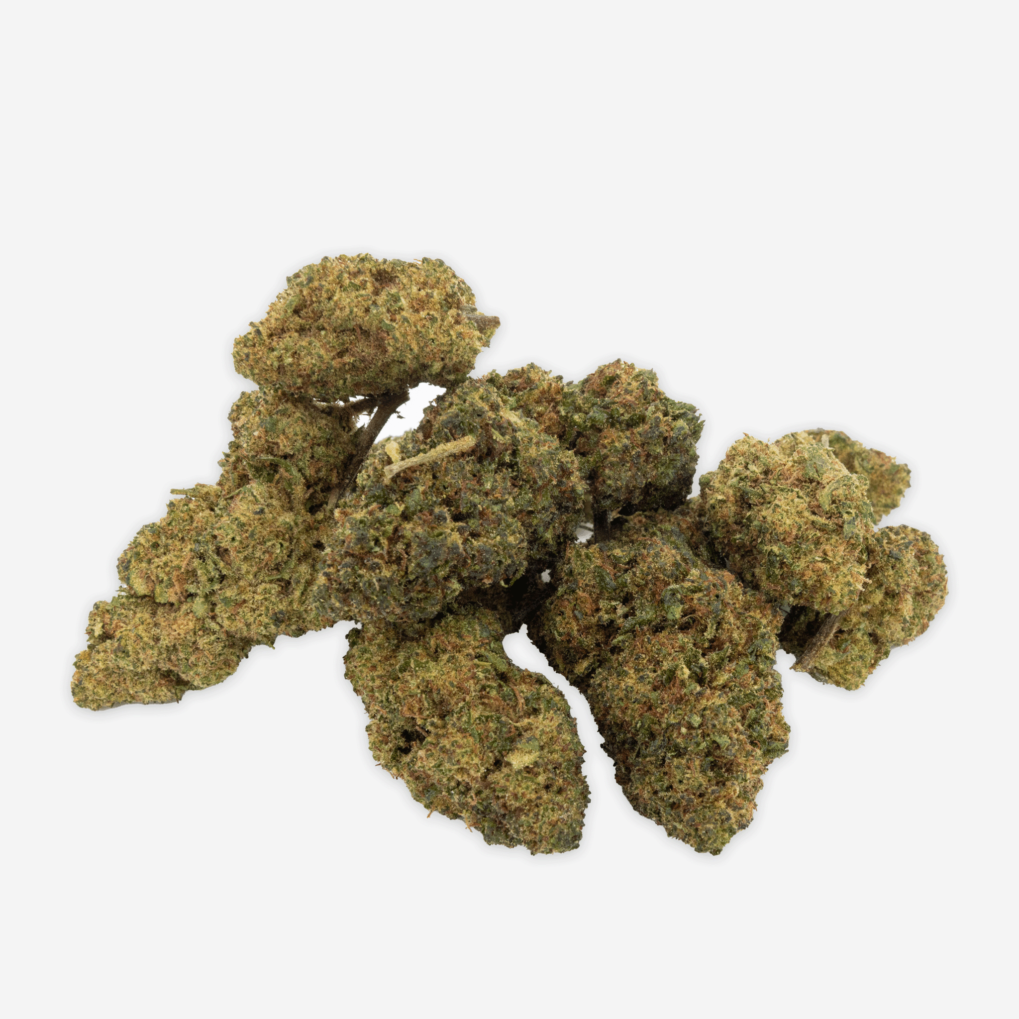 Blueten
