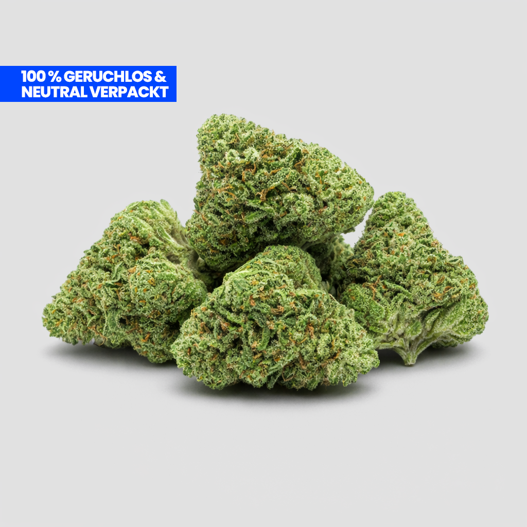 Amnesia Runtz 9H-HHC Cali Blüte – Premium Indoor | Süß-fruchtiger Sativa-Hybrid