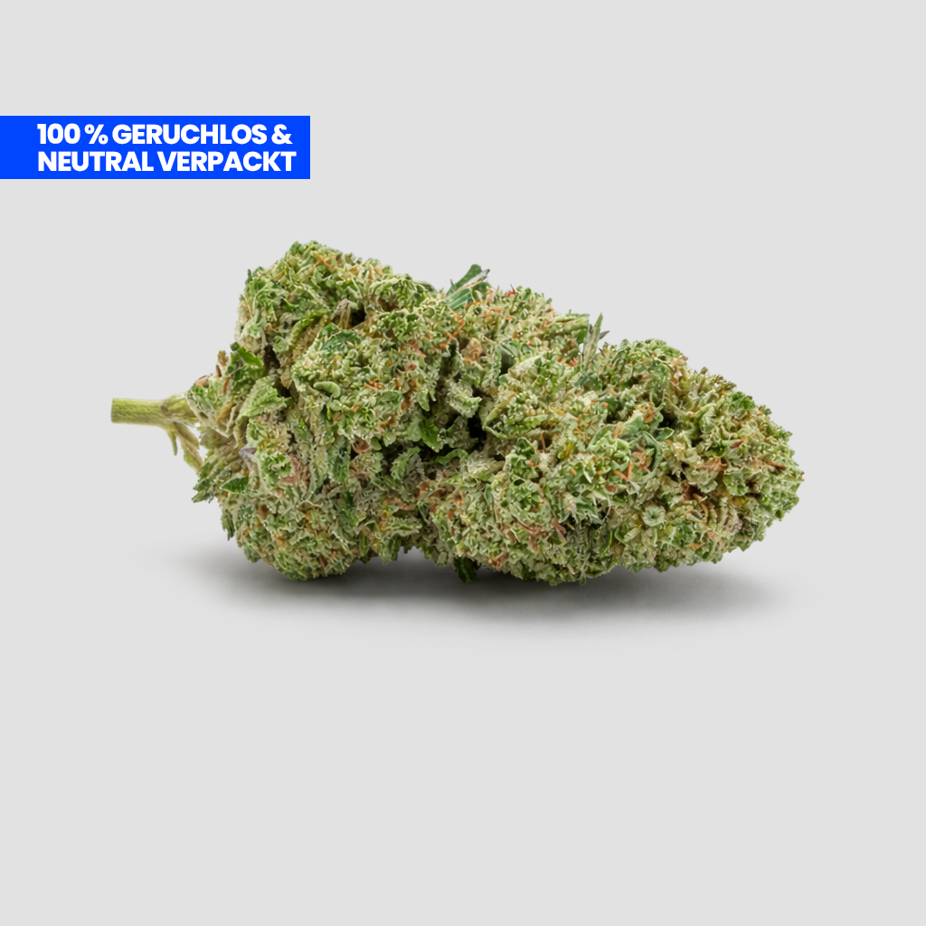 Amnesia Runtz 9H-HHC Cali Blüte – Premium Indoor | Süß-fruchtiger Sativa-Hybrid