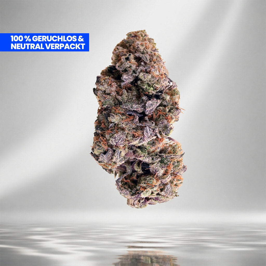 Wedding Cake 9H-HHC Cali Blüte aus Kalifornien bei Happy Flower kaufen.