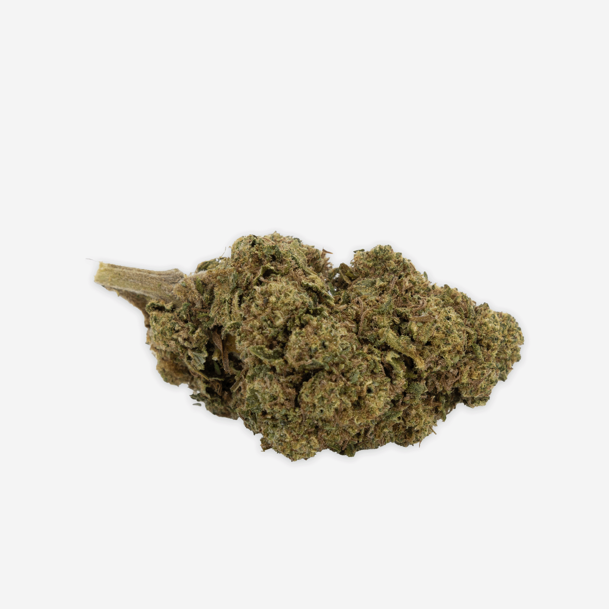Blueten